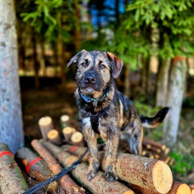 006e58ba-88ab-4ce8-85d0-0986455108e3