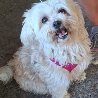 0bc7756c-8831-4a7f-967f-1795a5820bee