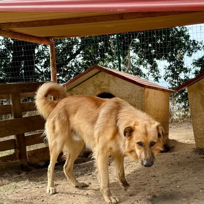 33e4a1ac-0617-4e17-bff8-4d11b2b760da