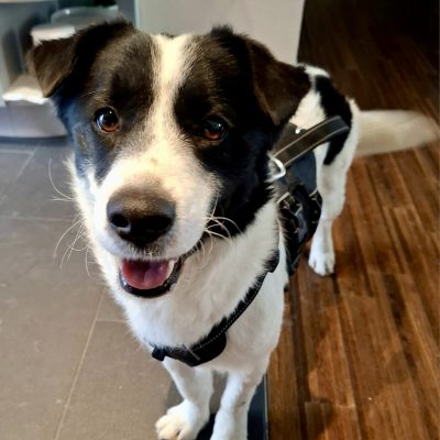 666bffe5-2774-47bf-a886-548c86280224