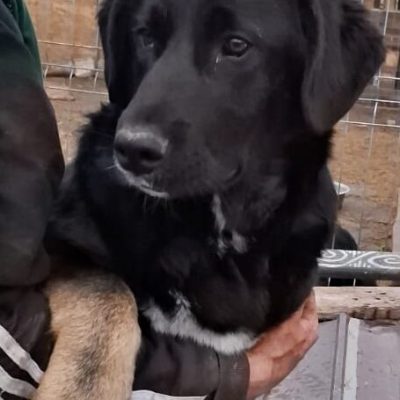 99cb511b-c73e-4947-adde-b2b0aefd4d24