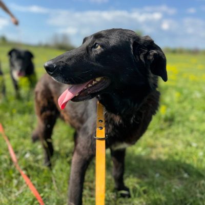 a31d475b-670f-4a37-8924-5ca9e2f11488