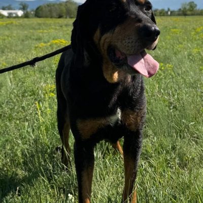 a9edc6ea-d875-4cab-a63a-227bd4b789f2