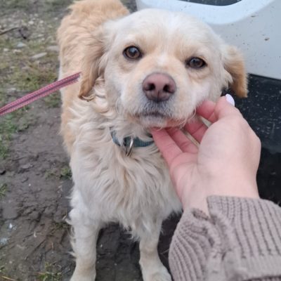 aa51a7c0-d444-4a6c-82d2-2a61bbc0136e