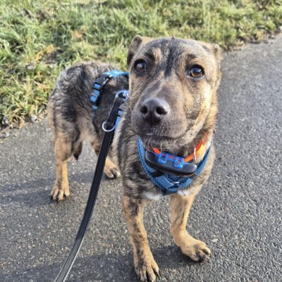 c0882871-4f64-459a-9a2c-77d1caa3f9c6