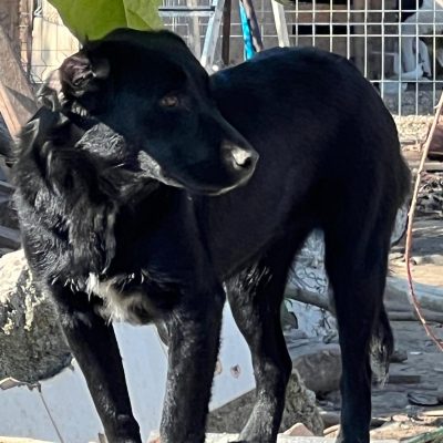 f781de1a-12f4-4f56-be9e-c0b5c56ac54c